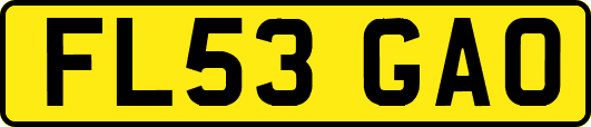 FL53GAO