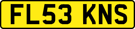 FL53KNS