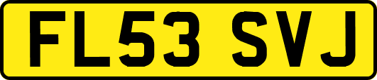 FL53SVJ