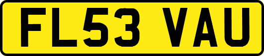 FL53VAU