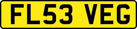 FL53VEG