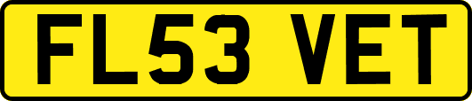 FL53VET