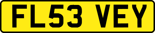 FL53VEY