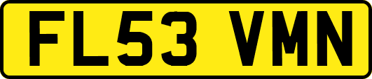 FL53VMN