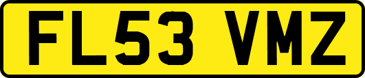 FL53VMZ