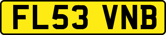FL53VNB