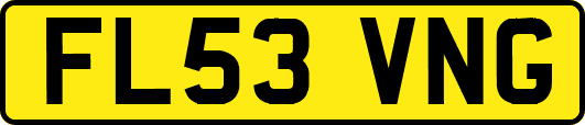 FL53VNG