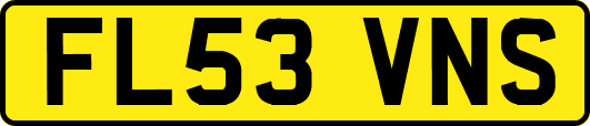 FL53VNS