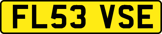 FL53VSE