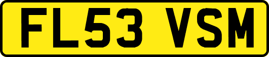 FL53VSM