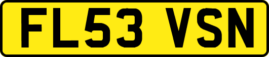 FL53VSN