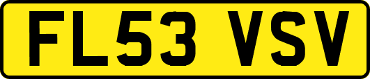 FL53VSV
