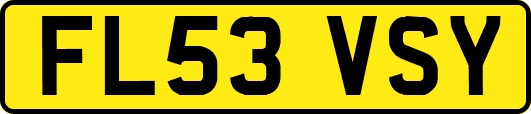 FL53VSY