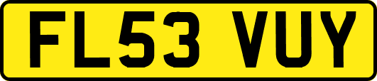 FL53VUY