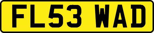 FL53WAD
