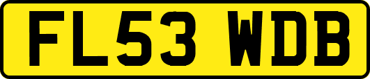 FL53WDB