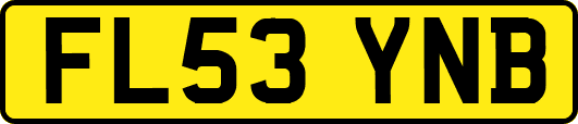 FL53YNB