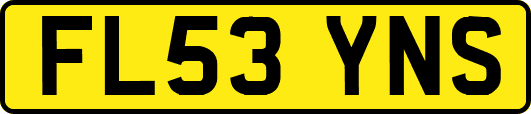 FL53YNS