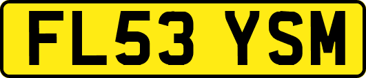 FL53YSM