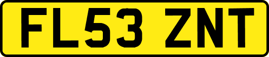 FL53ZNT