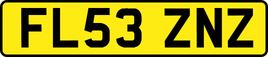 FL53ZNZ