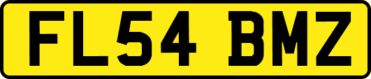 FL54BMZ