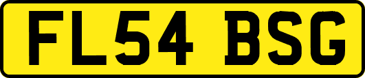 FL54BSG