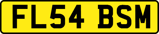 FL54BSM