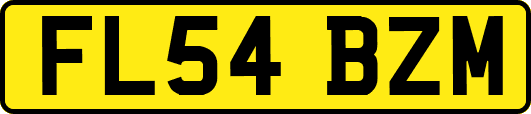 FL54BZM