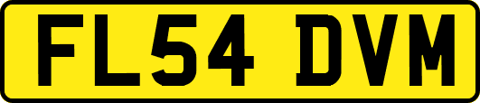 FL54DVM