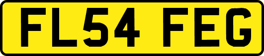 FL54FEG