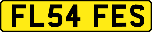 FL54FES