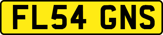 FL54GNS