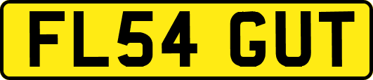 FL54GUT