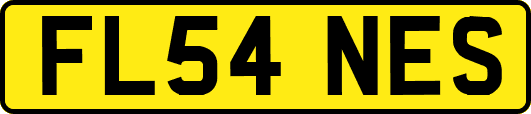 FL54NES