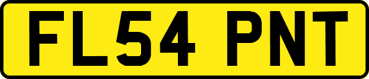 FL54PNT