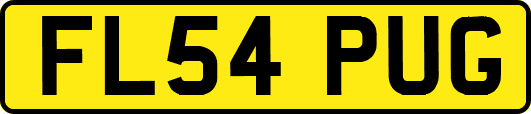 FL54PUG
