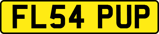 FL54PUP