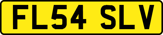 FL54SLV