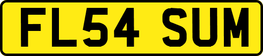 FL54SUM