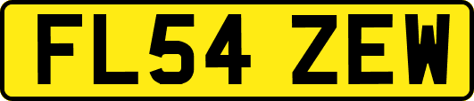 FL54ZEW
