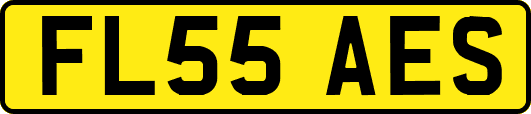 FL55AES