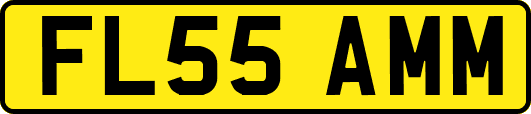 FL55AMM