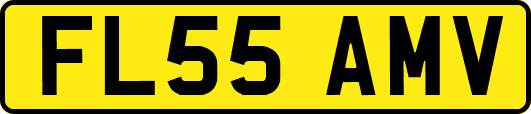 FL55AMV