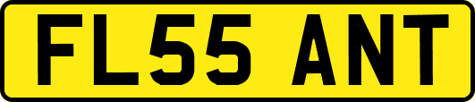 FL55ANT