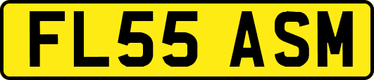 FL55ASM