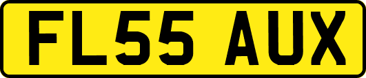 FL55AUX