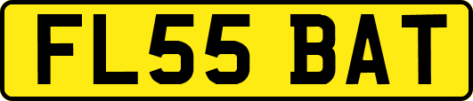 FL55BAT
