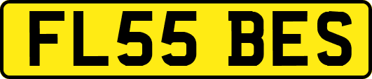 FL55BES