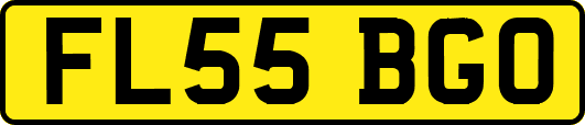 FL55BGO